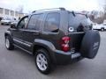 2005 Dark Khaki Pearl Jeep Liberty Limited 4x4  photo #10