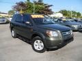 2006 Amazon Green Metallic Honda Pilot LX  photo #1