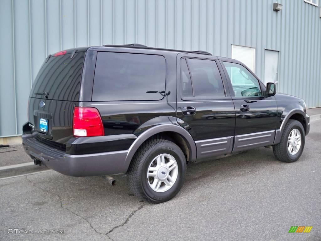 2004 Expedition XLT 4x4 - Black / Medium Flint Gray photo #3