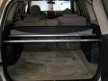 Savannah Metallic - RAV4 4WD Photo No. 9