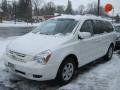 2008 White Kia Sedona LX  photo #1