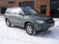 Oasis Green Pearl - Highlander V6 Photo No. 1