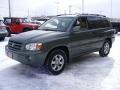 Oasis Green Pearl - Highlander V6 Photo No. 7