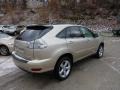 2008 Savannah Metallic Lexus RX 350 AWD  photo #2