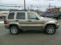 Light Khaki Metallic - Liberty Limited 4x4 Photo No. 6