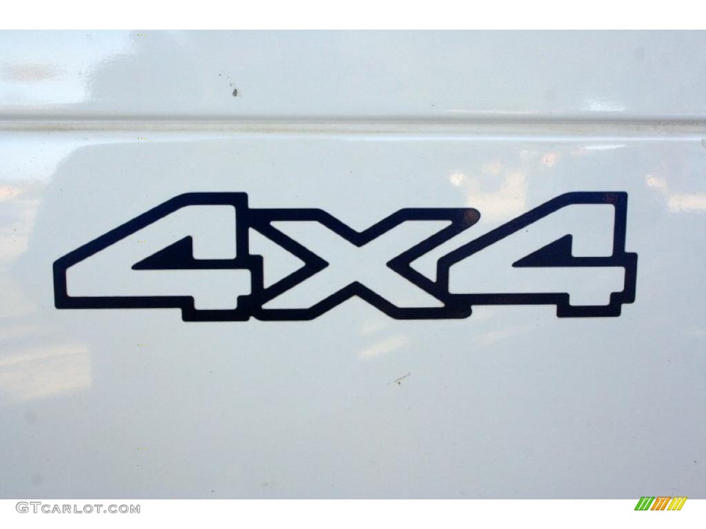 2001 Ram 1500 ST Club Cab 4x4 - Bright White / Mist Gray photo #92
