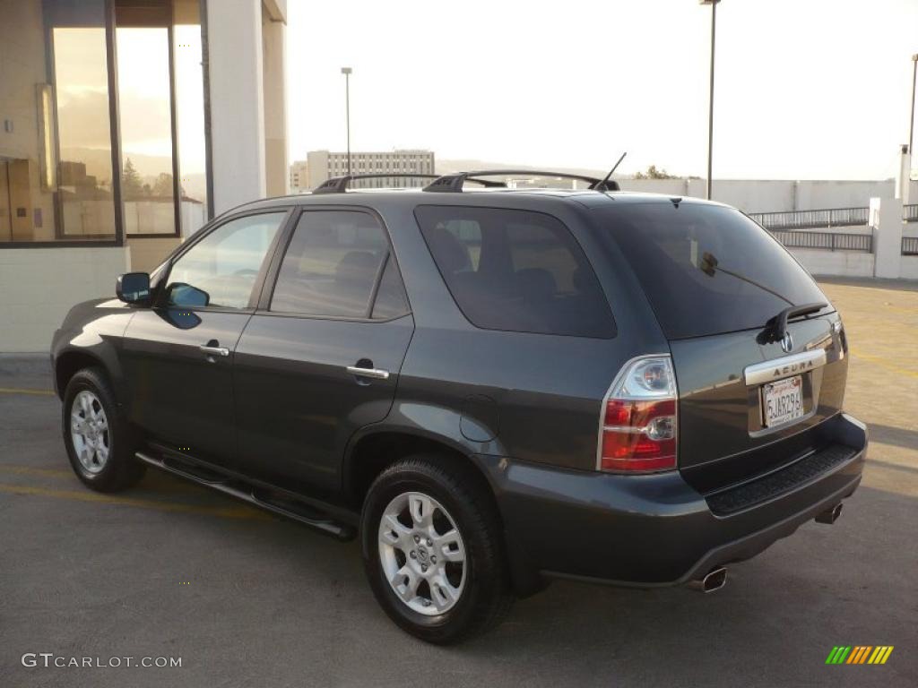2004 MDX  - Sagebrush Pearl / Quartz photo #5