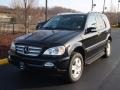 Black - ML 350 4Matic Photo No. 1