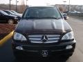 Black - ML 350 4Matic Photo No. 2
