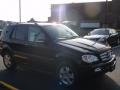 Black - ML 350 4Matic Photo No. 3