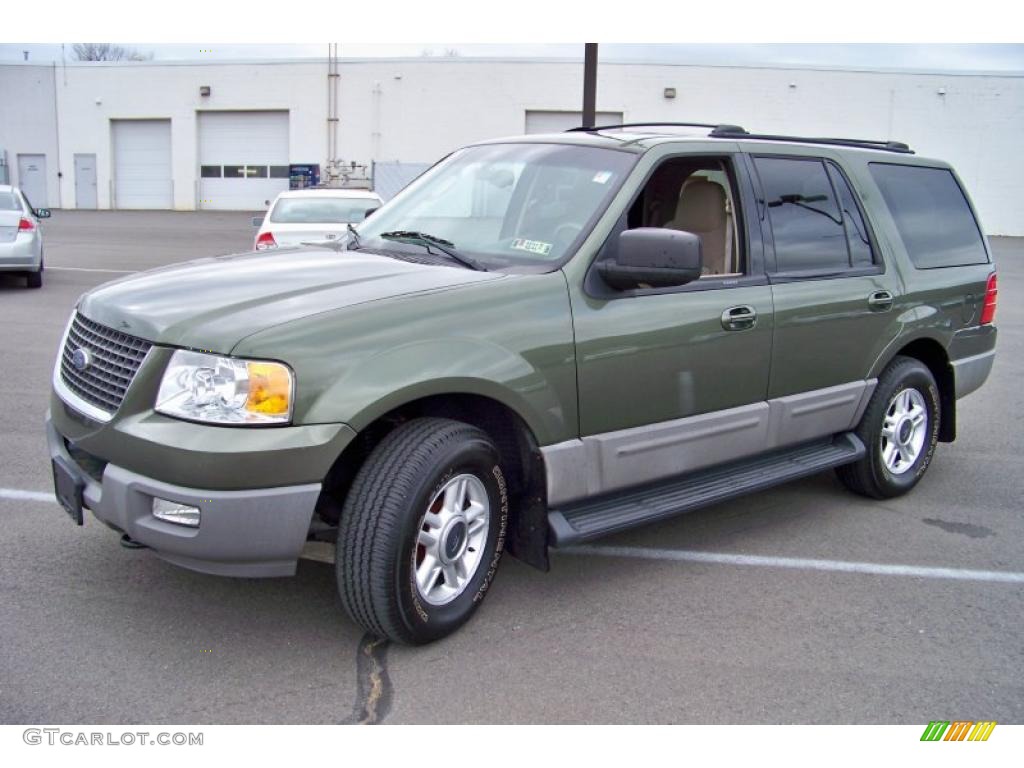 Estate Green Metallic 2003 Ford Expedition XLT 4x4 Exterior Photo #41175058