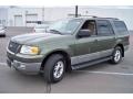 Estate Green Metallic 2003 Ford Expedition XLT 4x4 Exterior