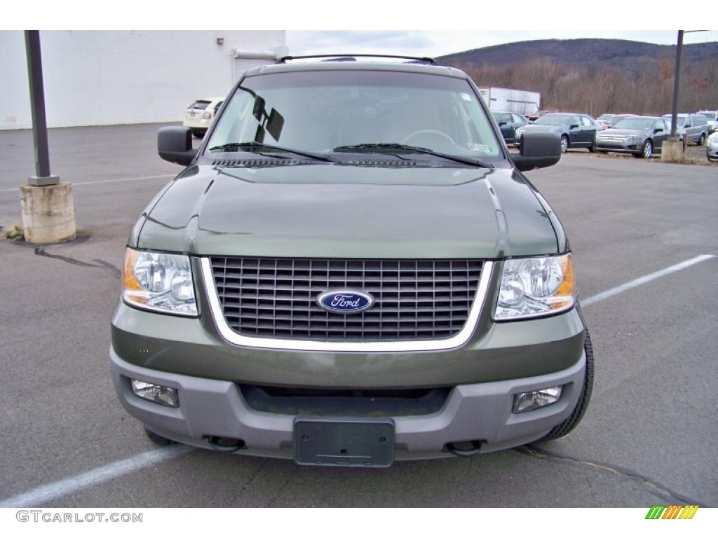 2003 Expedition XLT 4x4 - Estate Green Metallic / Medium Parchment photo #2