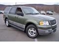  2003 Expedition XLT 4x4 Estate Green Metallic