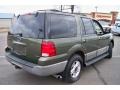 2003 Estate Green Metallic Ford Expedition XLT 4x4  photo #5