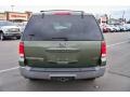 2003 Estate Green Metallic Ford Expedition XLT 4x4  photo #6