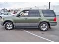 2003 Estate Green Metallic Ford Expedition XLT 4x4  photo #8