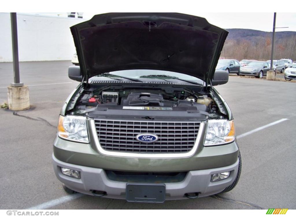 2003 Expedition XLT 4x4 - Estate Green Metallic / Medium Parchment photo #24