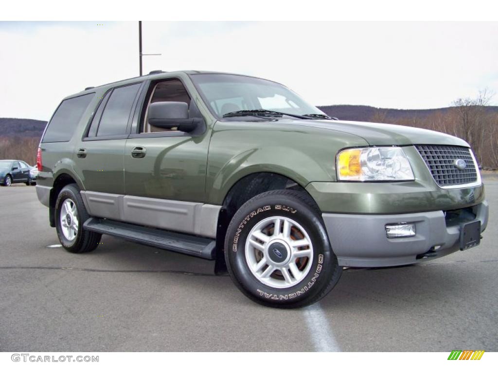 2003 Expedition XLT 4x4 - Estate Green Metallic / Medium Parchment photo #26