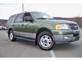 2003 Estate Green Metallic Ford Expedition XLT 4x4  photo #26