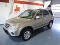 Sahara Sand Metallic - CR-V SE 4WD Photo No. 1