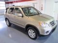 Sahara Sand Metallic - CR-V SE 4WD Photo No. 5