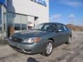 Light Tundra Metallic - Taurus SEL Photo No. 2