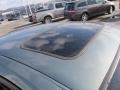 Light Tundra Metallic - Taurus SEL Photo No. 9