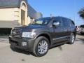 2010 Silver Graphite Infiniti QX 56 4WD  photo #3