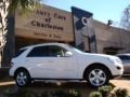 2006 Alabaster White Mercedes-Benz ML 500 4Matic  photo #8