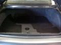 Medium Gray Metallic - Monte Carlo LS Photo No. 15