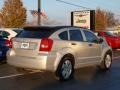 Bright Silver Metallic - Caliber SXT Photo No. 3