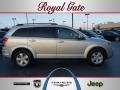 2010 Bright Silver Metallic Dodge Journey SXT  photo #1