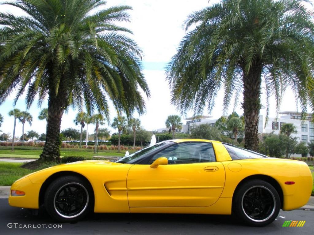 2003 Corvette Coupe - Millenium Yellow / Black photo #1