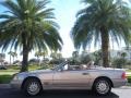 1997 Smoke Silver Metallic Mercedes-Benz SL 500 Roadster  photo #19