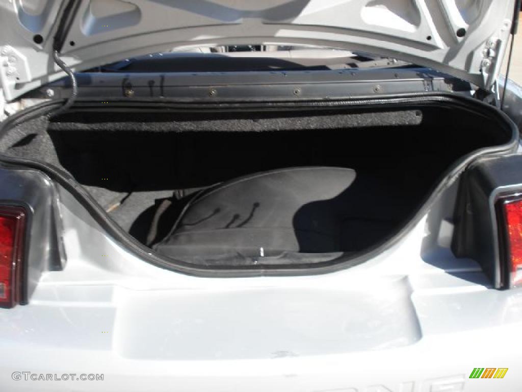 2002 Ford Mustang V6 Convertible Trunk Photo #41216495
