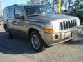 Light Khaki Metallic - Commander 4x4 Photo No. 6