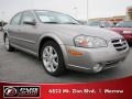 2002 Sterling Mist Metallic Nissan Maxima GLE  photo #4