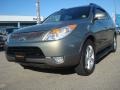 2008 Natural Khaki Metallic Hyundai Veracruz Limited  photo #1