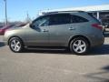 2008 Natural Khaki Metallic Hyundai Veracruz Limited  photo #3