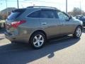 2008 Natural Khaki Metallic Hyundai Veracruz Limited  photo #5