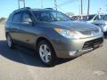 2008 Natural Khaki Metallic Hyundai Veracruz Limited  photo #7