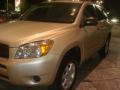 2007 Savannah Metallic Toyota RAV4 I4  photo #5