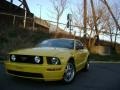 2006 Screaming Yellow Ford Mustang GT Premium Coupe  photo #3