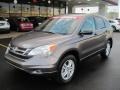 2010 Urban Titanium Metallic Honda CR-V EX AWD  photo #1