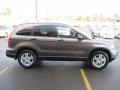 Urban Titanium Metallic - CR-V EX AWD Photo No. 6