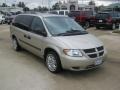 2006 Linen Gold Metallic Dodge Grand Caravan SE  photo #7