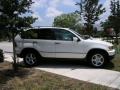 Alpine White - X5 3.0i Photo No. 4