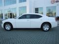 Stone White - Charger  Photo No. 2
