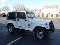 Stone White - Wrangler Sahara 4x4 Photo No. 14